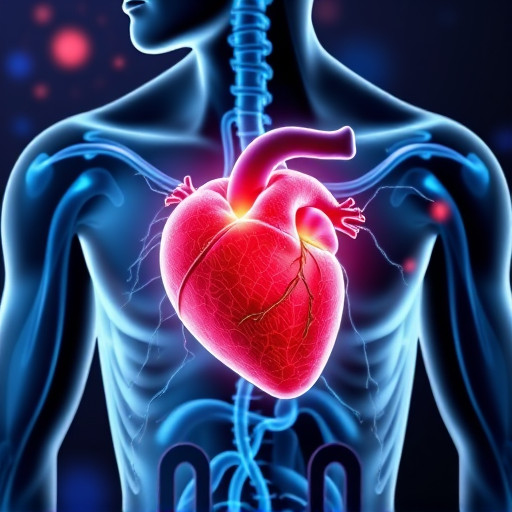 Personalized Fitness: Integrative Strategies for Heart Resilience with Omega-3s & Nitric Oxide