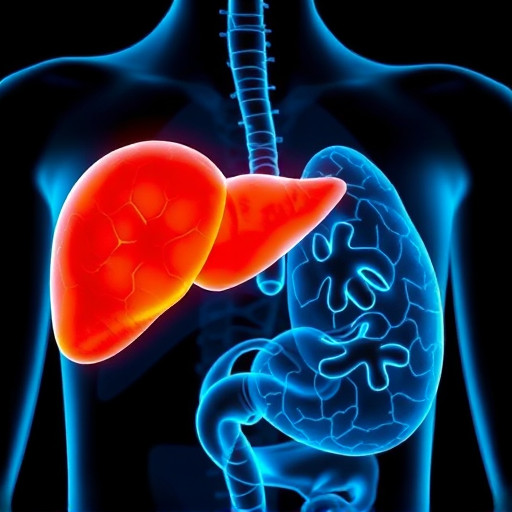 Diurnal Stress Assessment: Salivary Cortisol, Liver Fibrosis, Gut Health