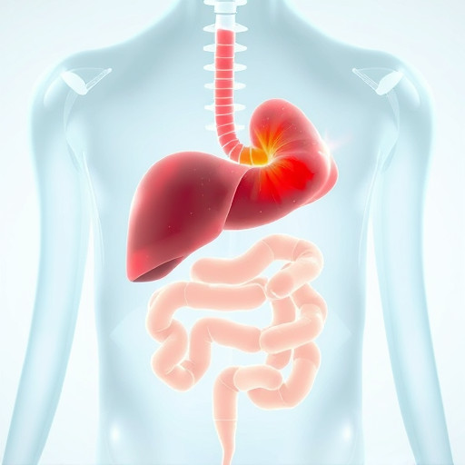 Liver Elastography: Unlocking Fibrosis Progression with Non-Invasive Lab Tests