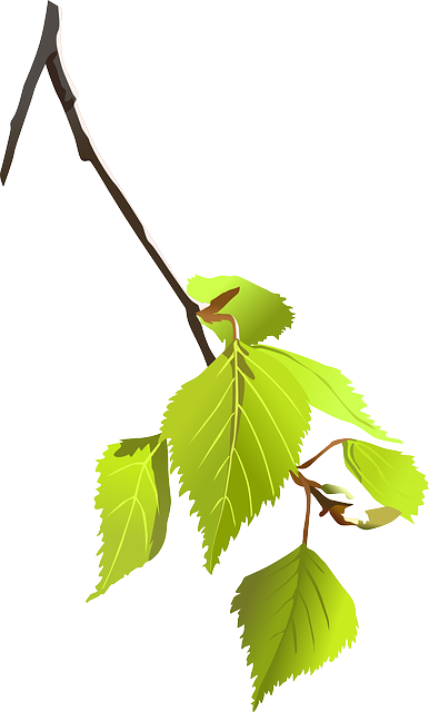 Find Functional Medicine In Ann Arbor