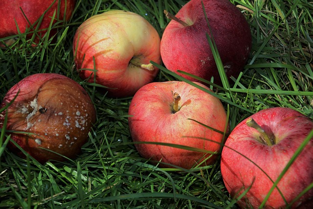 Find Functional Medicine In Ann Arbor