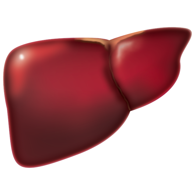 Find Functional Medicine In Cleveland