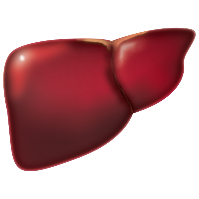 Find Functional Medicine In Cleveland