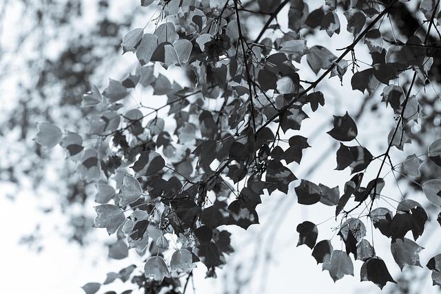 Find Functional Medicine In South Bend-mishawaka In-mi