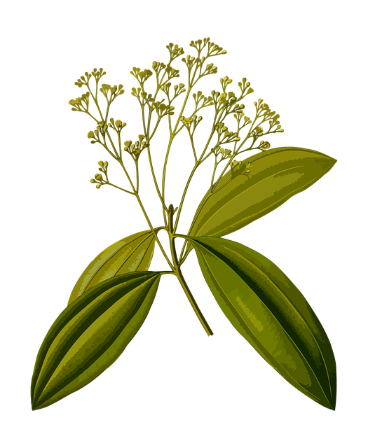 Find Integrative Medicine In Akron