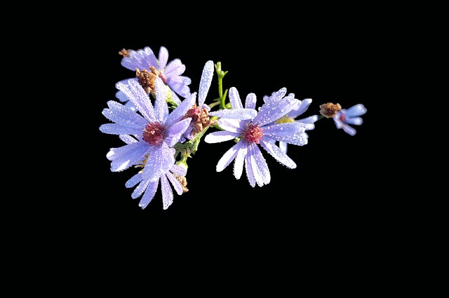 Find Integrative Medicine In Ann Arbor