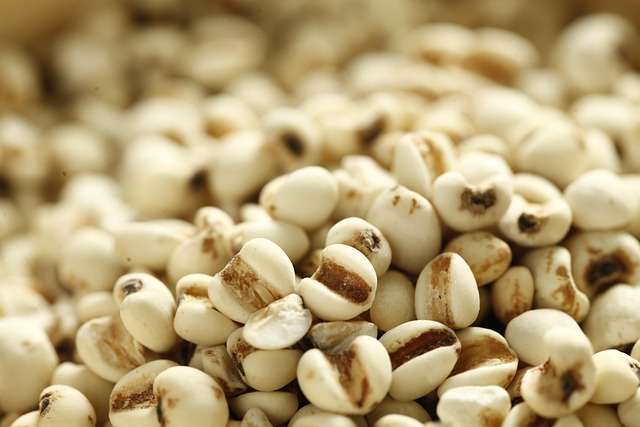 Find Integrative Medicine In Ann Arbor