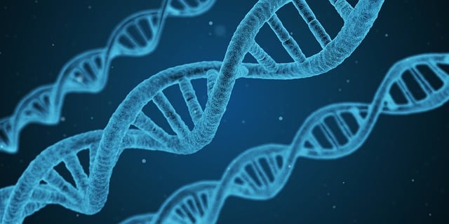 Find Integrative Medicine In Ann Arbor