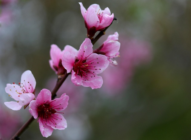 Find Integrative Medicine In Ann Arbor