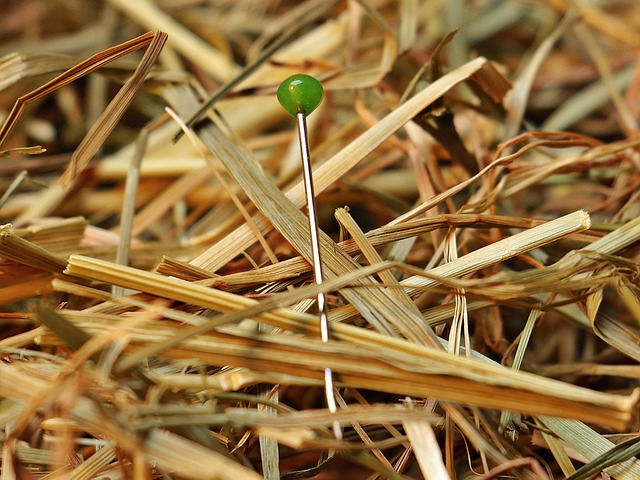 Find Integrative Medicine In Cleveland