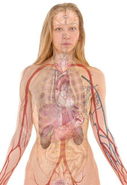 Find Integrative Medicine In Dayton