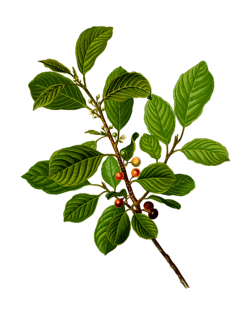 Find Integrative Medicine In Detroit-livonia-dearborn