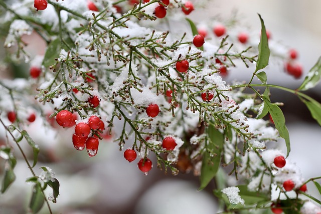 Discover Integrative Wellness in South Bend-Mishawaka, MI Near You