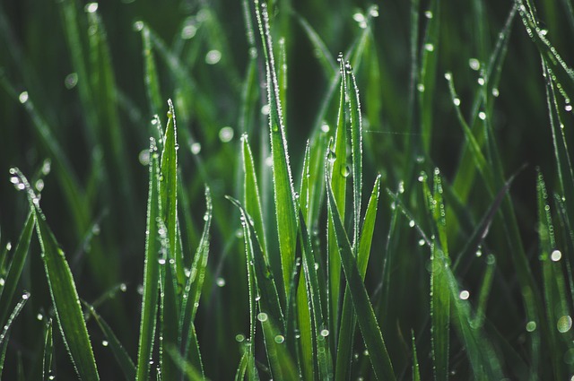 Find Integrative Medicine In South Bend-mishawaka In-mi