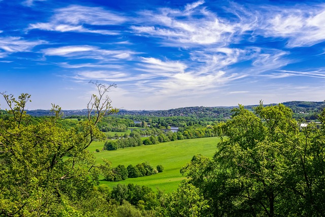 Holistic Wellness Solutions: Unlock Total Health in Warren-Troy-Farmington Hills