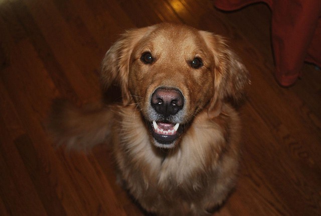 find-lab-work-in-akron-640x480-67414082.jpeg