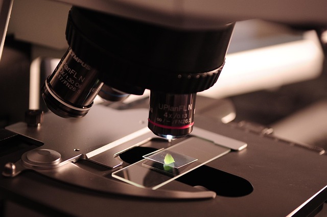 find-lab-work-in-ann-arbor-640x480-81529131.jpeg