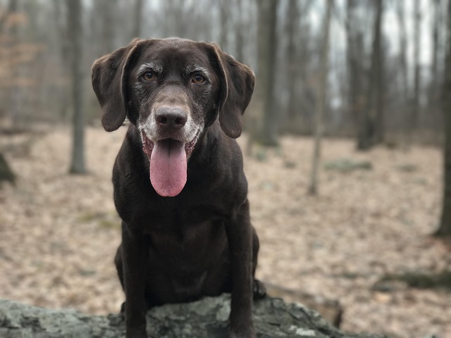 find-lab-work-in-bloomington-bedford-640x480-56690632.jpeg