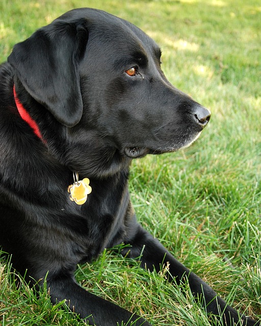 find-lab-work-in-columbus-640x480-58175496.jpeg