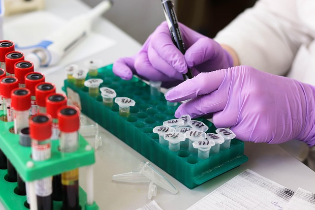 Find Lab Work In Flint-traverse City-bay City