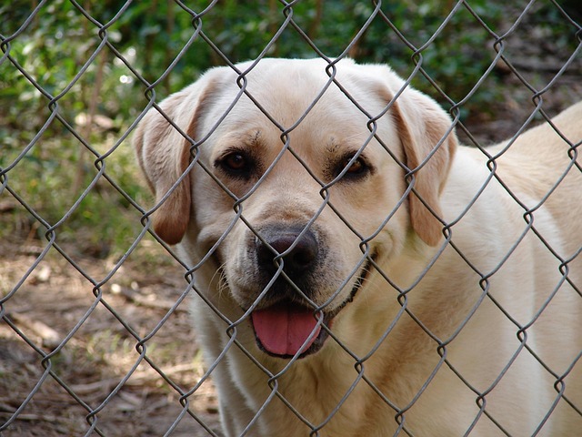 find-lab-work-in-warren-troy-farmington-640x480-48897922.jpeg