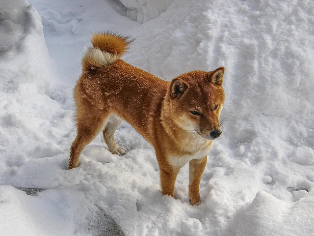 find-mounjaro-in-south-bend-mishawaka-in-640x480-10079978.jpeg