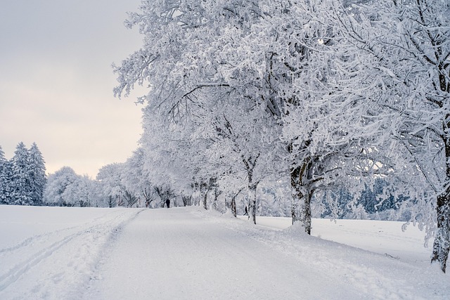 Same-Day Ozempic Delivery: Navigating Options in Grand Rapids, Kentwood, Muskegon