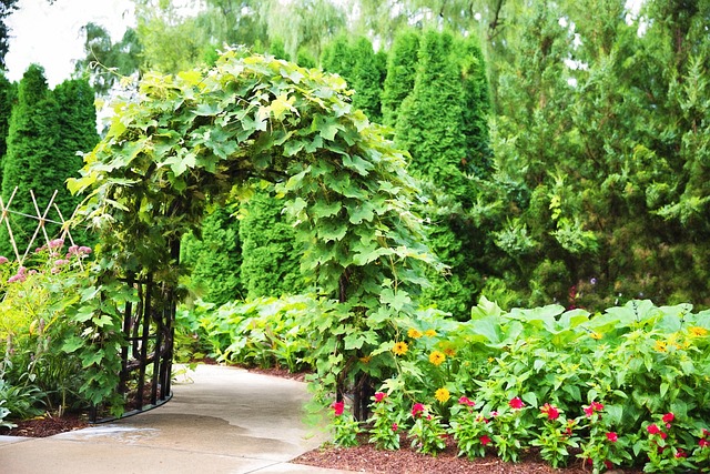 Find Semaglutide In Ann Arbor