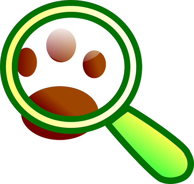 Finding Semaglutide in Columbus: Pharmacy, Clinics, and Online Retailers