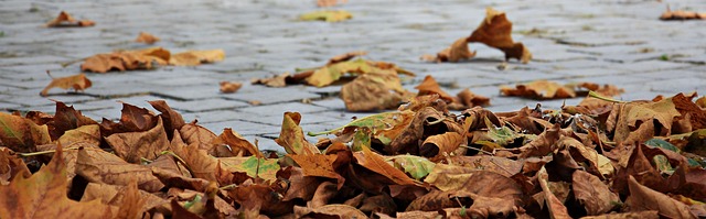 Find Semaglutide In Evansville-henderson Ky-in