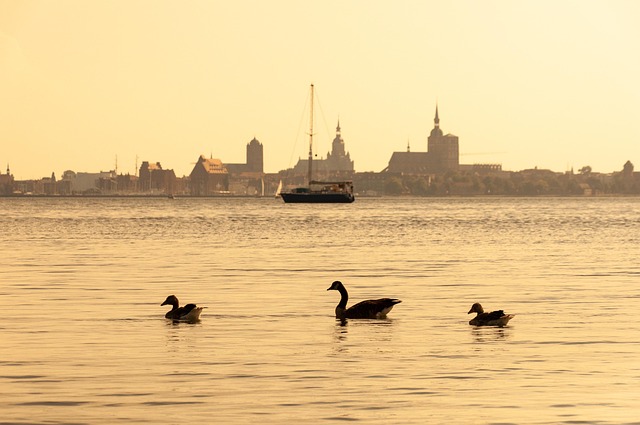 Find Semaglutide In Flint-traverse City-bay City