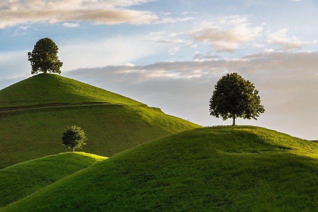 Find Semaglutide In Warren-troy-farmington Hills