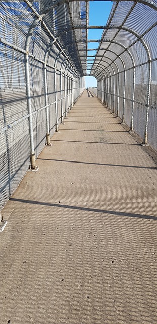 Find Wegovy In Cincinnati