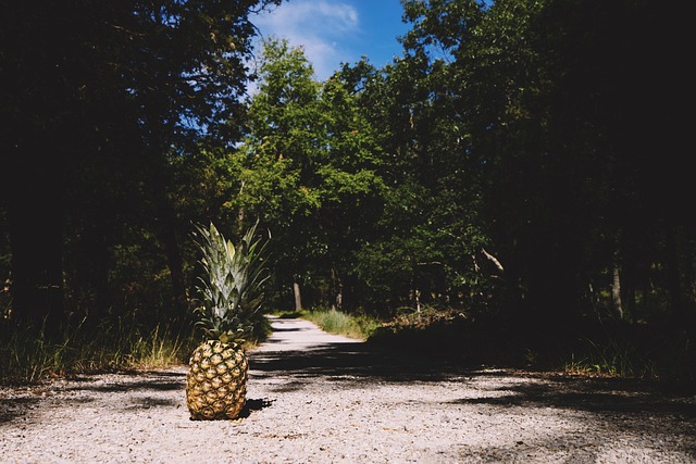 find-zepbound-in-bloomington-bedford-640x480-87879340.jpeg