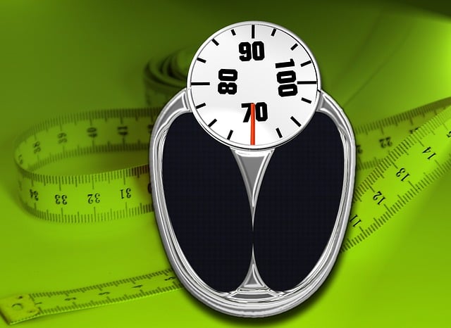 Telehealth Weight Loss Consultations Gary-lake Station
