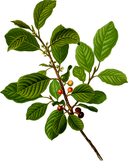 Find Functional Medicine In Indianapolis-carmel-anderson