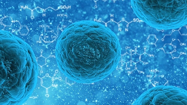 Find Functional Medicine In Toledo