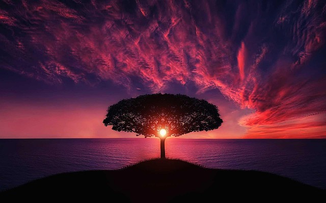 find-functional-medicine-in-warren-troy-640x480-70875129.jpeg