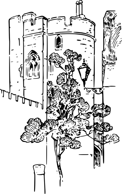 find-glp-1-in-fort-wayne-huntington-aubu-640x480-56047374.png