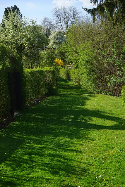 Find Integrative Medicine In Ann Arbor