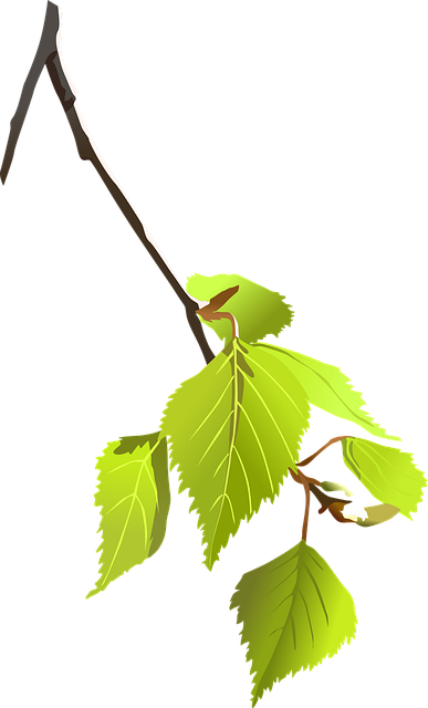 Find Integrative Medicine In Ann Arbor