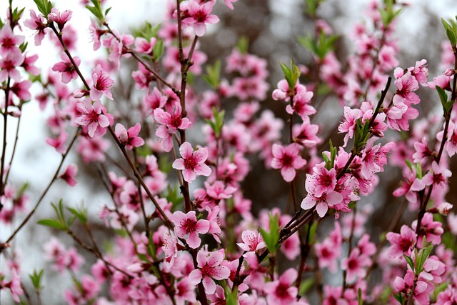 Find Integrative Medicine In Ann Arbor