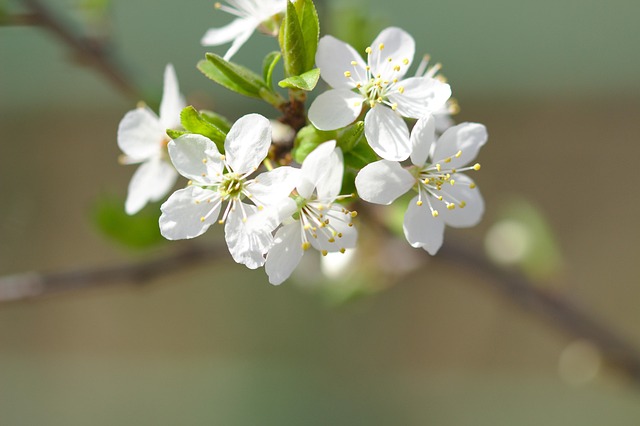 find-integrative-medicine-in-ann-arbor-640x480-78099769.jpeg
