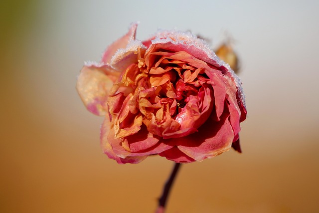 Find Integrative Medicine In Cleveland