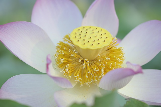 find-integrative-medicine-in-evansville-640x480-84302984.jpeg