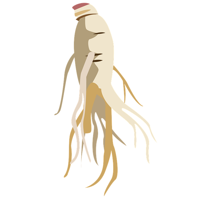 find-integrative-medicine-in-indianapoli-640x480-13682021.png