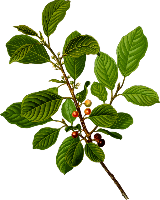 Find Integrative Medicine In Lansing-east Lansing