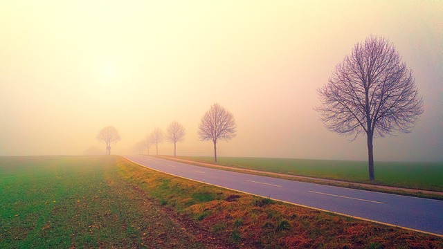 Find Integrative Medicine In South Bend-mishawaka In-mi