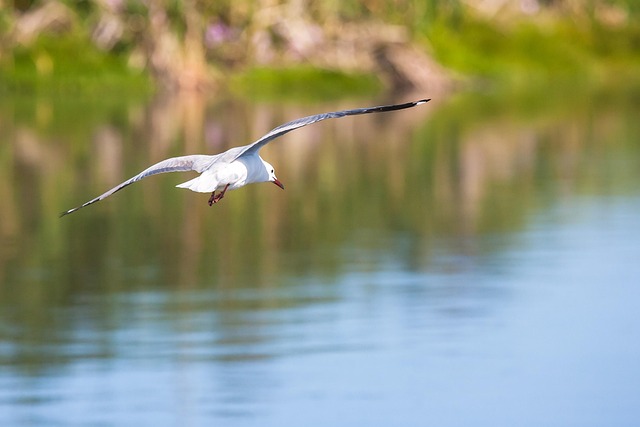 Find Integrative Medicine In South Bend-mishawaka In-mi
