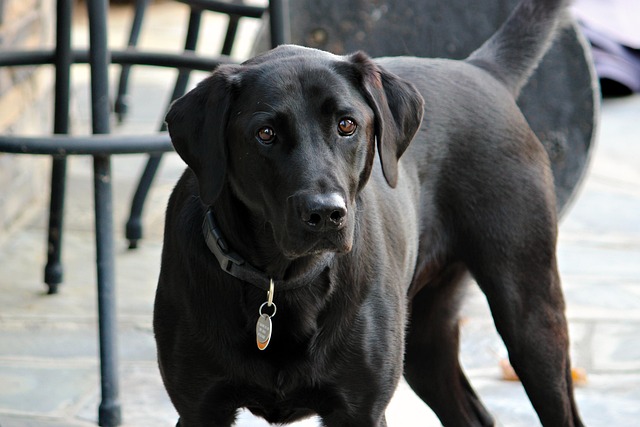 find-lab-work-in-dayton-640x480-76479051.jpeg